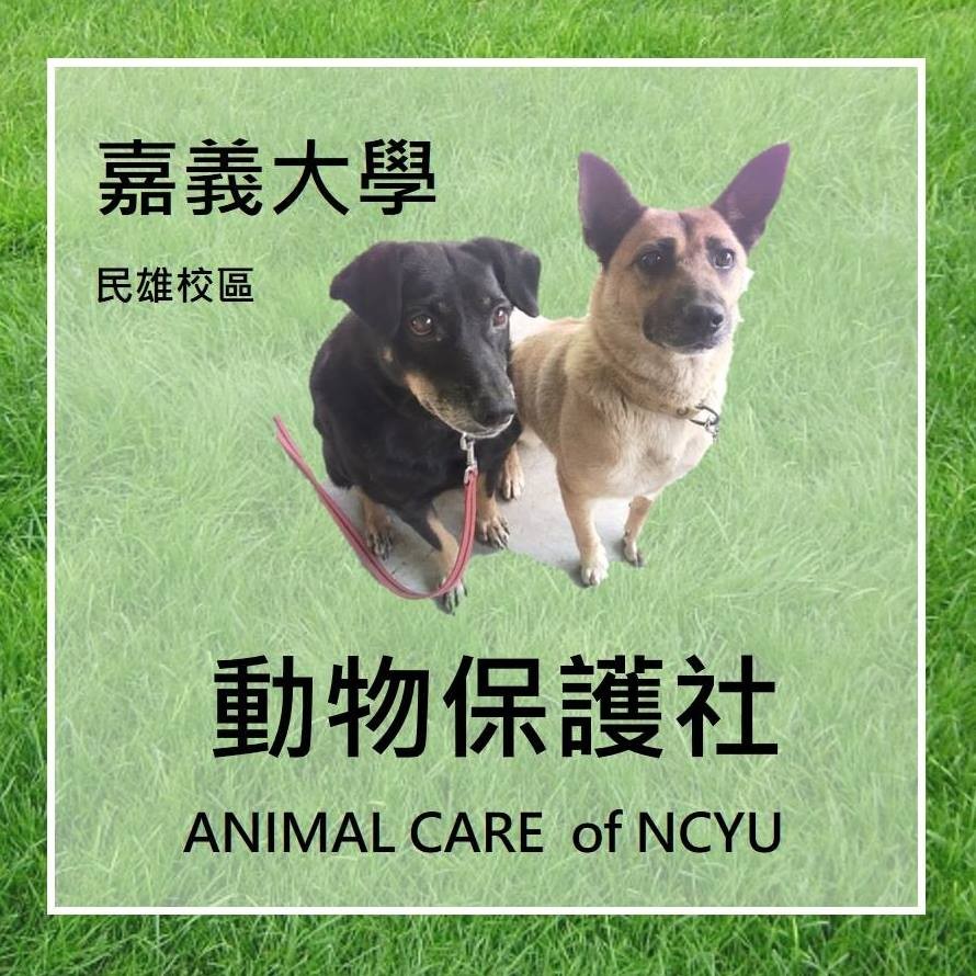 民雄校區動物保護社－封面圖